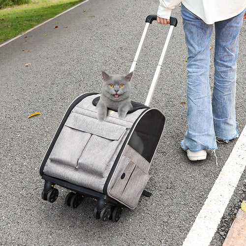 Rolling Cat Carrier with Wheels – Telescopic Handle & 3-Way Carry